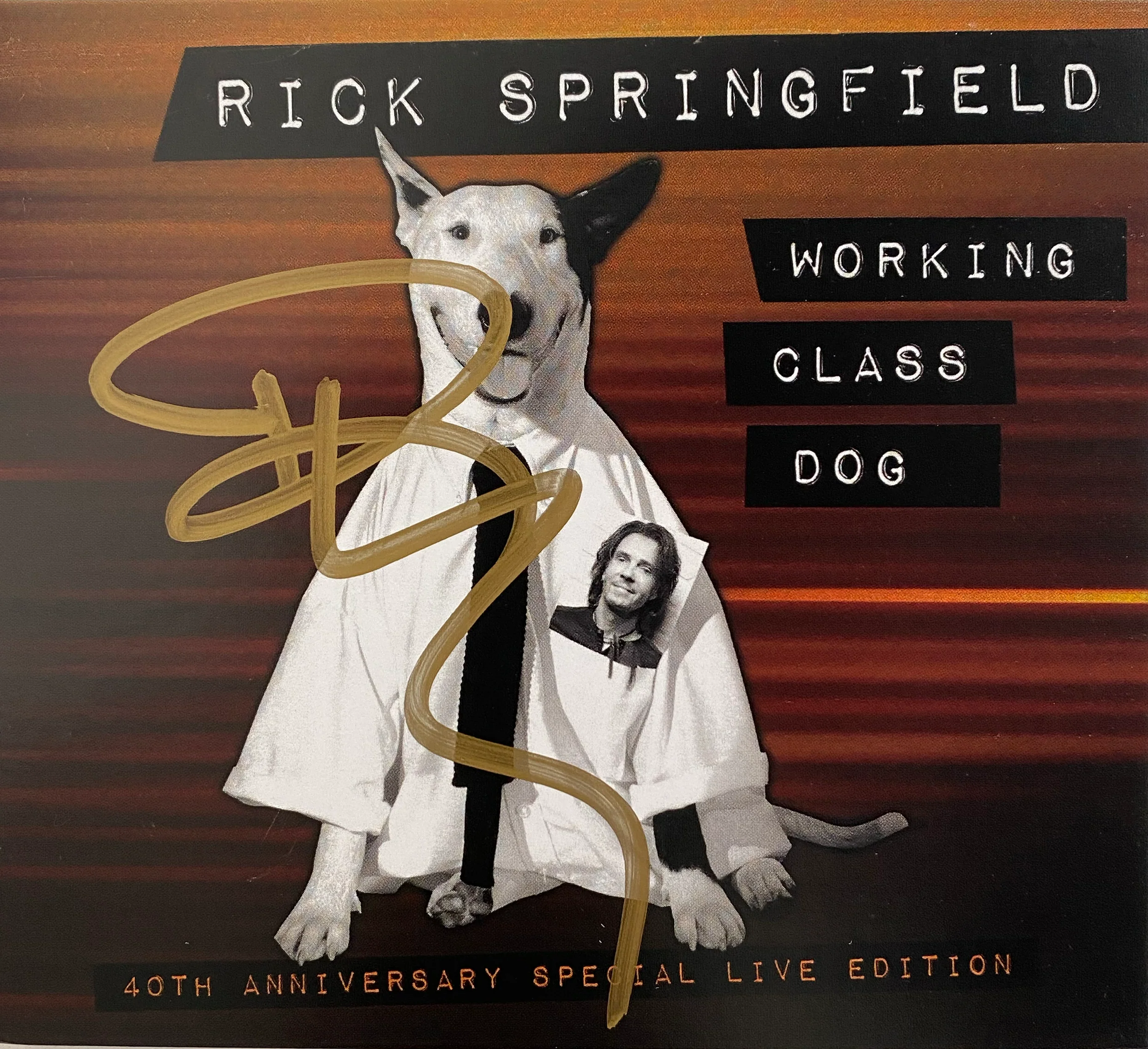 CD/DVD - Working Class Dog 40th Anniversary - Image 3